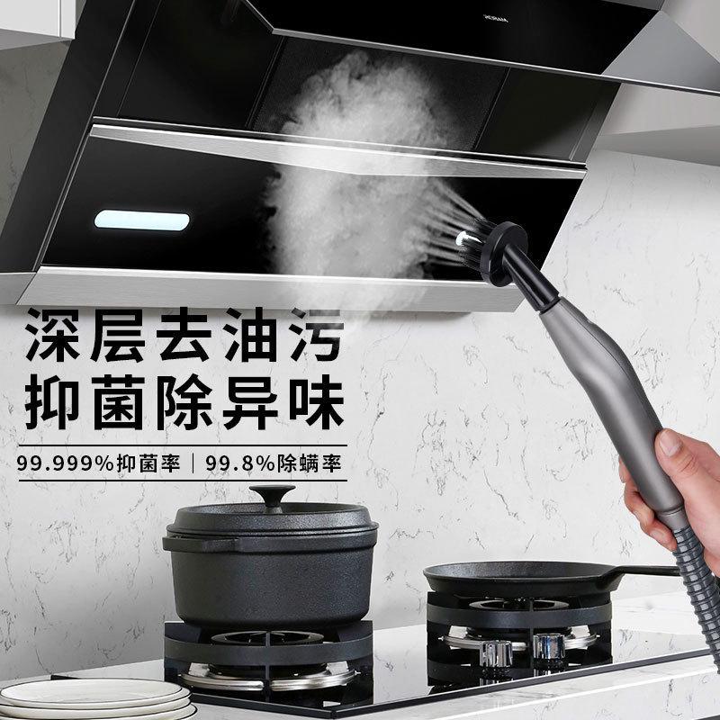 多功能高温蒸汽清洁机家用清洗油烟机窗户玻璃擦燃气灶沙发清洗机