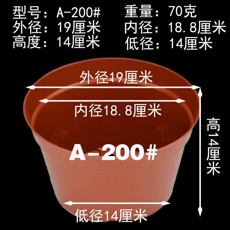 a型育苗营养杯圆形绿植塑花盆平低盆栽钵培植棕色[厂价大量直供]