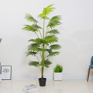 唐绿植盆栽仿真加州蒲葵扇葵室内棕葵大型假树软装造景装饰摆件落