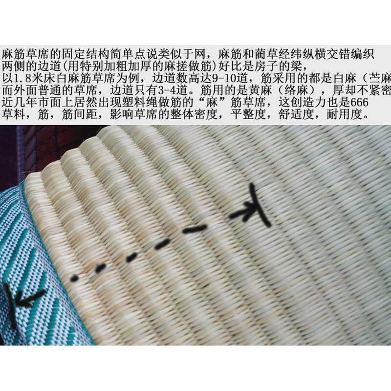 87N宁波白麻筋草席1.8m床1.5米加厚密双人天然蔺草凉席