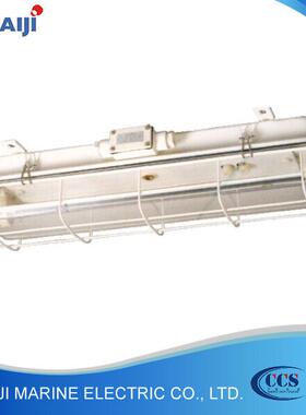 防水优质2x20w船用厂家直销荧光舱顶灯jcy23-2ef
