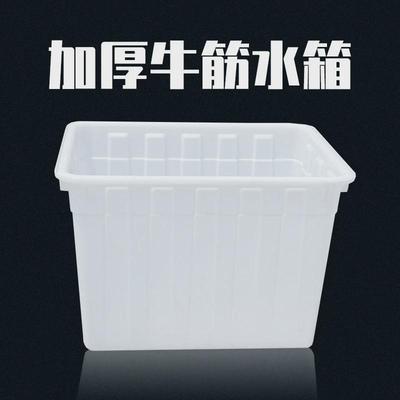 加厚牛筋塑料水箱长方形养鱼水产养殖浅盆家用储水桶大容量塑料桶