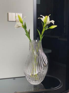 玄关创意玻璃花瓶高级感干花水培花瓶批发客厅餐桌北欧风装饰摆件