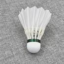 耐宝稳定6010羽毛球耐打室内外训练飞行三段式 比赛 羽球12只装