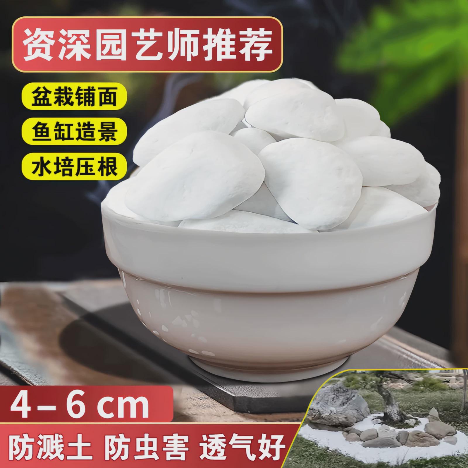 天然白石子庭院石头白色石子颗粒小白铺路鹅卵石阳台造景景观砾石