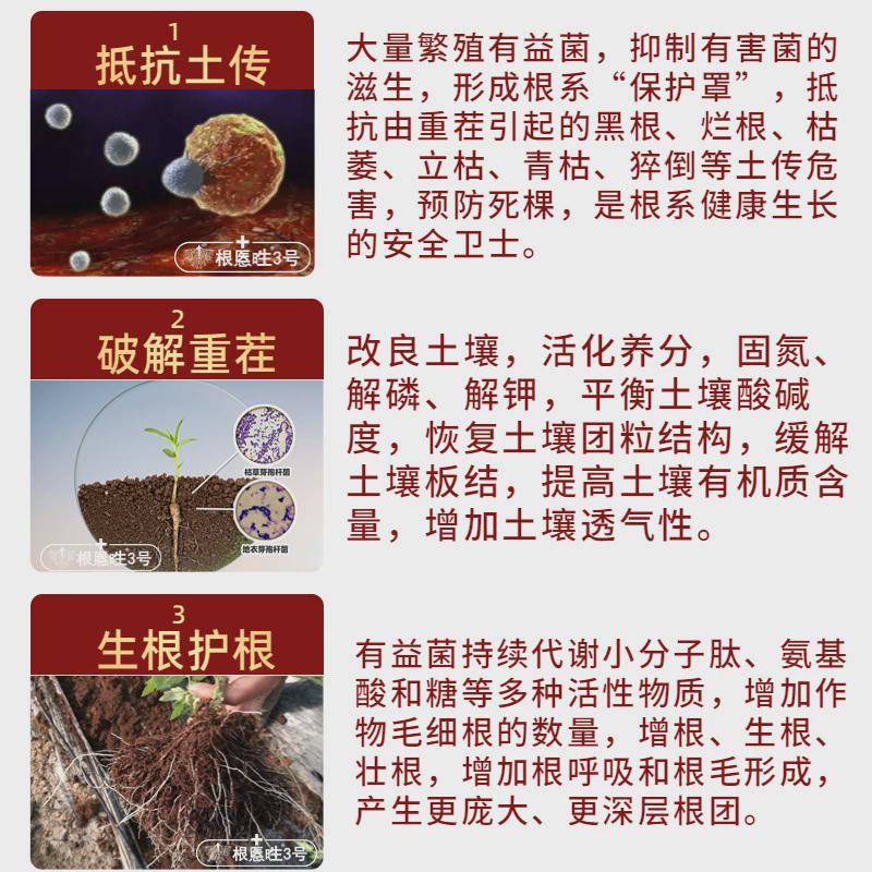 枯草芽孢杆菌死棵烂苗红中柱液肥菌剂肥微生物烂根腐枯萎黄叶肥料