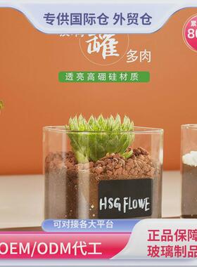 创意微景观花瓶玻璃方形多肉花盆水培生态罐高颜值可爱玻璃小花瓶