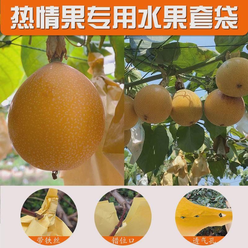 热情果专用套袋水果袋防晒防雨水防尘防虫批发哥伦比亚热情果套袋图片