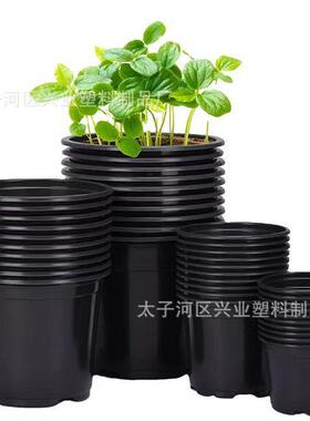 白色双色育苗盆pp彩色塑料花盆摔不坏简易加厚多肉大号培育育苗盆