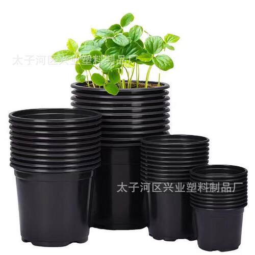 白色双色育苗盆pp彩色塑料花盆摔不坏多肉加厚大号简易培育育苗盆