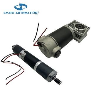 工厂定制永磁有刷无刷小微型直流功率12v24v36v电动机10w 1000w