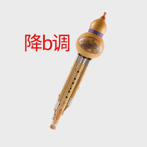 金丝楠竹葫芦丝c调调演b降奏型供应琴行学校初学者三音葫芦丝