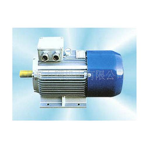 供应yvf2100l1-42.2kw变频调速电动机