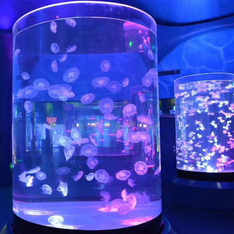 大型设计超大型海洋世界工程亚克力有机玻璃海水鱼缸海洋馆