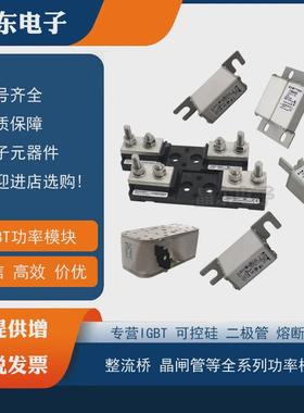 170m3269170m3270170m3271170m3272170m3273熔断器全新保险丝