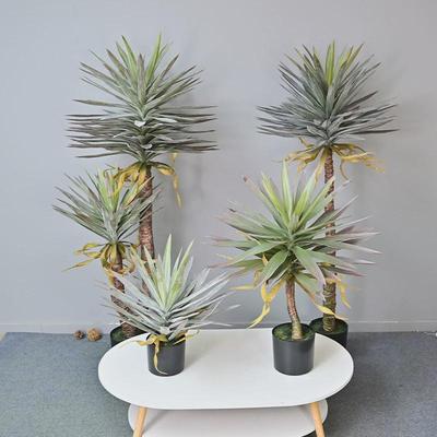 仿真凤尾丝兰树狭龙血树叶剑麻铁树龙舌兰假树家居落地装饰摆件绿