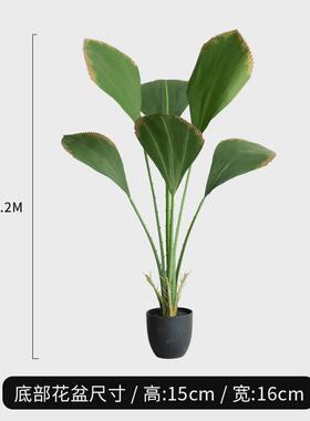 北欧大型仿真绿植盆栽秋色苏门答腊棕树室内客厅落地假植物装饰