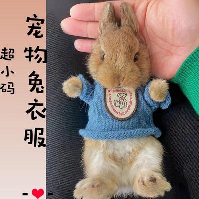 宠物小兔子穿的衣服超小码可爱四季款侏儒兔幼兔荷兰猪豚鼠专用品