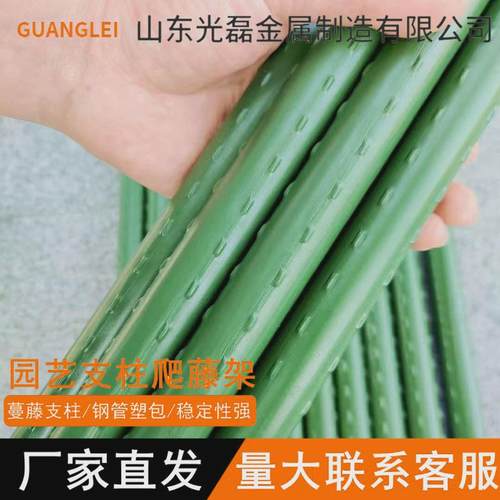 爬藤架花架包塑钢管月季豆角西红柿杆园艺固定黄瓜葡萄植物支撑架
