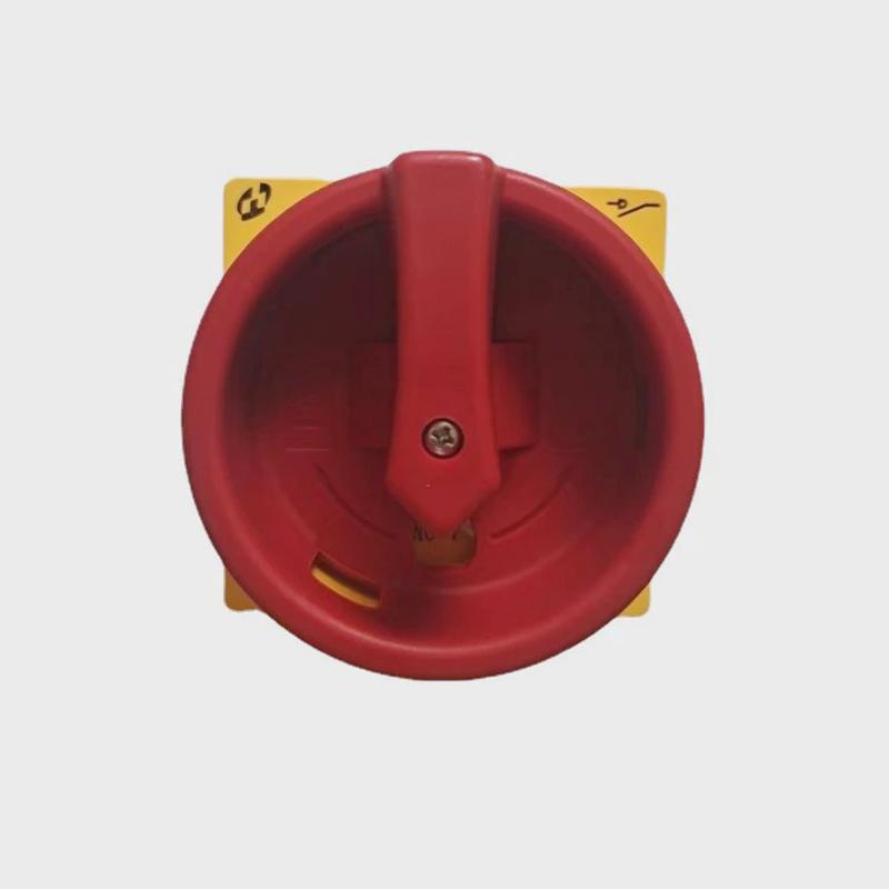 全新原厂天逸lw42b2-1824/lf101凸轮负荷开关电源主控转换开关