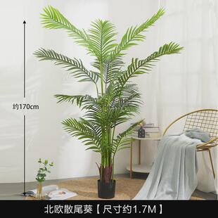 仿真树大型仿真绿植盆栽摆件北欧绿植盆景散尾葵假绿植室内仿真