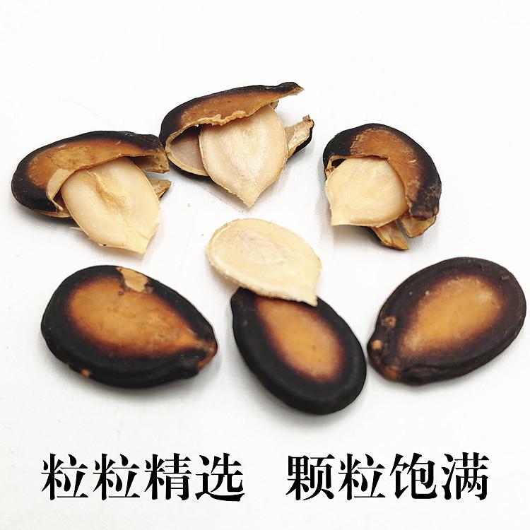 甘肃临夏兰州黑瓜子熟西瓜子吊瓜子五香味青海特产大板瓜子2斤装