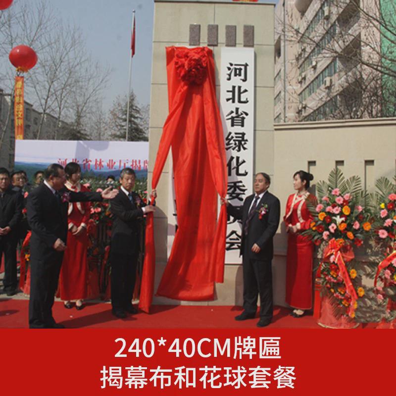 揭幕红绸布开业揭牌仪式牌匾装饰大花球架子剪彩道具花球招牌新品