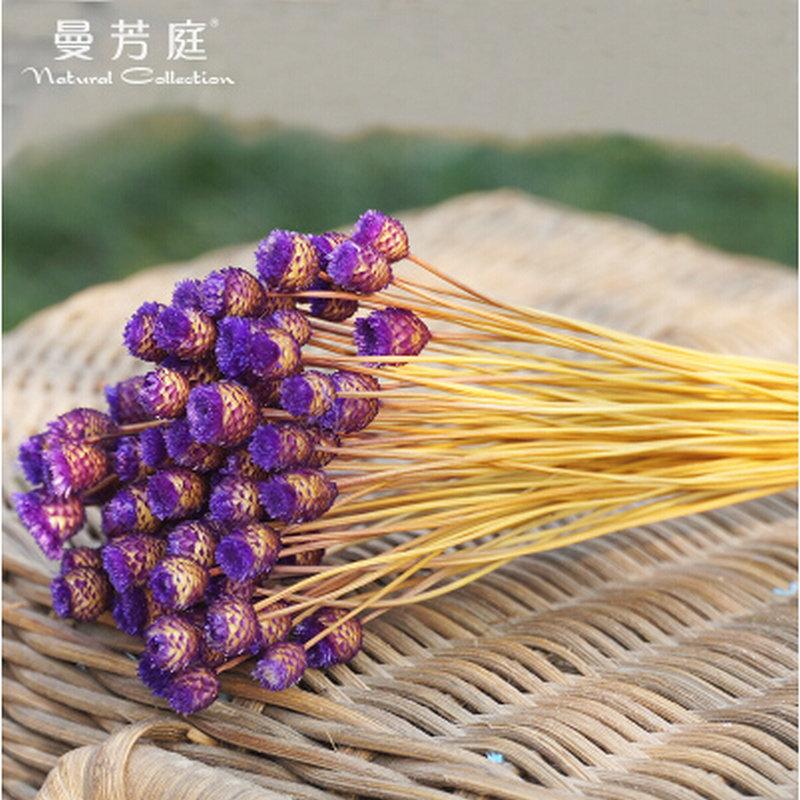 拍照道具花巴西小干花植物干花批发插花花艺手工diy花材快乐