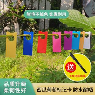 宏荣全新料葡萄记号牌西瓜记号牌授粉记号卡分色园艺标签管理标签
