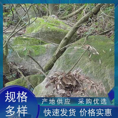 青苔石造景景观石花园庭院假山石绿地草坪野山室外石头石河滩石头
