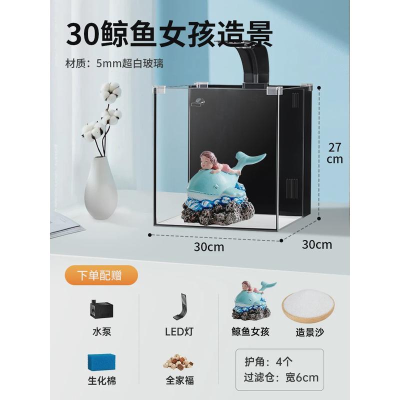 超白背滤鱼缸小型客厅生态自桌面缸免换水懒人造景养鱼循环水草缸
