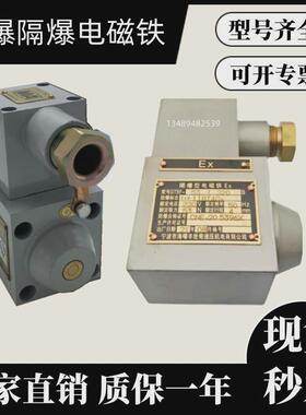 电磁铁防爆隔爆 DTBF-37/39/27/53/69/90/24ZY/36ZY/127BY/220BY