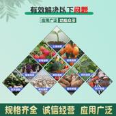 生物肥农业级鱼蛋白酶解蛋白鱼蛋白水溶肥瓜果生根叶面肥鱼液体