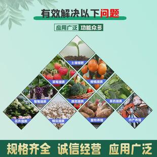 生物肥农业生根鱼蛋白酶解液体鱼蛋白水溶肥瓜果级叶面肥鱼蛋白