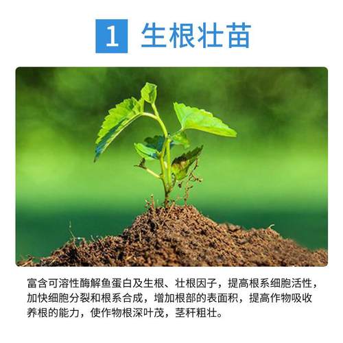 深海海藻鱼蛋白酶解甲壳素冲施肥有机肥水溶肥蔬菜草莓果树桶装肥