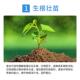 深海海藻鱼蛋白酶解甲壳素冲肥有机肥水溶肥蔬菜草莓果树桶装 施肥