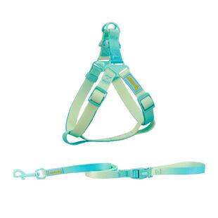 博美狗狗牵引绳胸背式小型犬泰迪比熊arkika遛溜狗外出背带链子