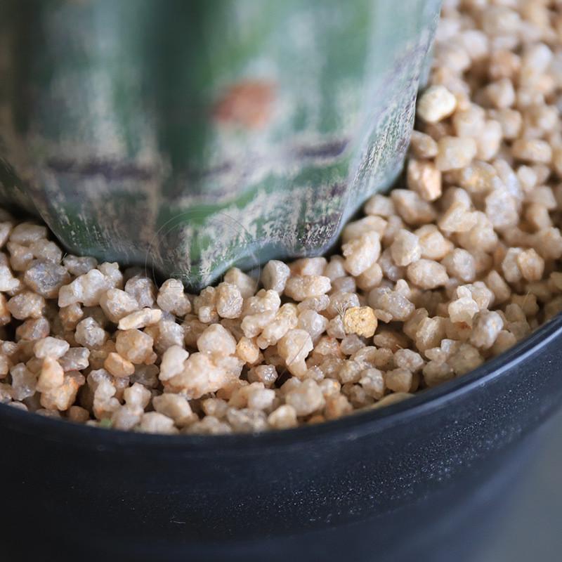 热销墨西哥大型仙人掌仿真仙人柱沙生景观造景摩洛哥风格假绿植盆