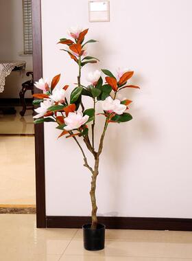 白玉兰花室内盆栽装饰园林景观植物造景盆景绿植客厅摆件假树