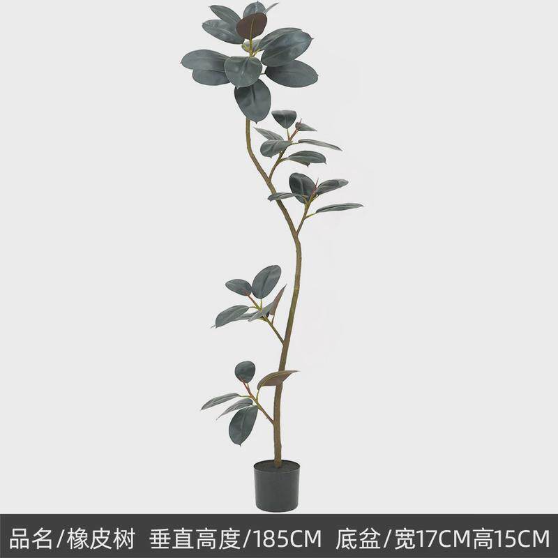 网红大叶子黑金刚假植物摆件室内客厅落地装饰仿真绿植橡皮树盆景