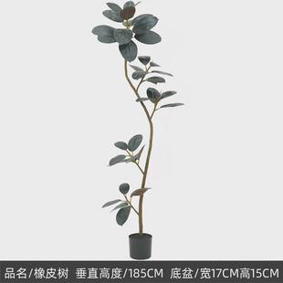 网红大叶子黑金刚假植物摆件盆景客厅落地装饰仿真绿植橡皮树室内