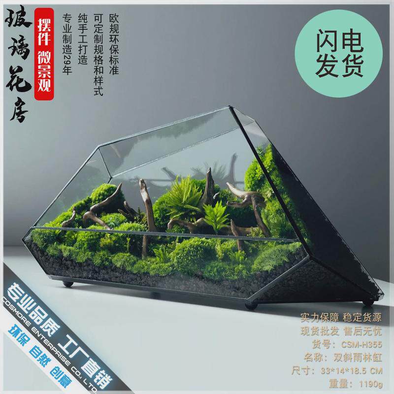 雨林缸苔藓微景观玻璃器皿几何罩盒子家居摆件微缩森林造景花盆器