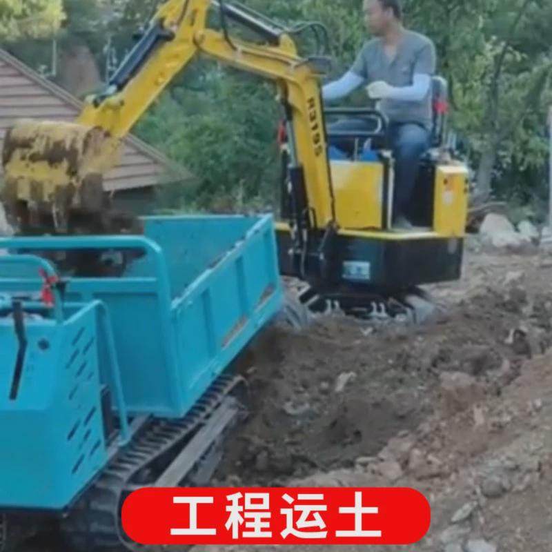 小型履带运输车爬山虎果园农用山地全地形搬运车自卸四不像爬坡王,玩具/童车/益智/积木/模型,惯性/回力/滑行玩具,淘宝优惠券,粉丝福利购,淘宝优惠卷