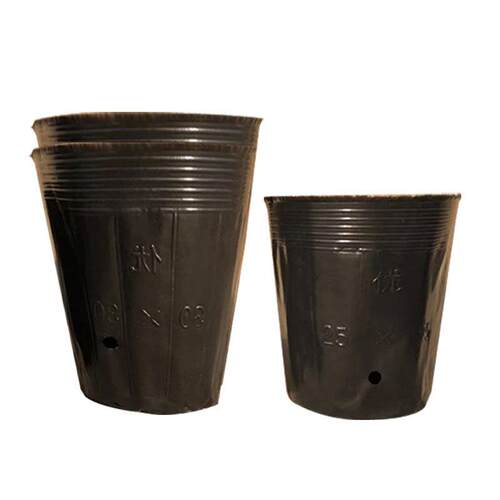 营养杯育苗杯大号加厚袋一次性塑料农用柑橘种植西瓜育苗盆营养钵