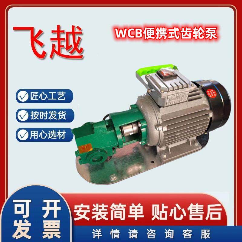 手提自吸抽油泵WCB50单项小型润滑油齿轮泵微型简便移动