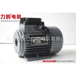 润滑电机泵 90w至370w功率齐全 油泵电机