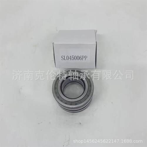 满装圆柱滚子轴承SL045006PP轴承非标异形轴承