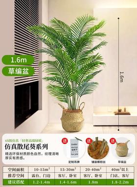 磁武仿真绿植花落客厅仿生散尾葵地植物装饰摆件盆栽假树