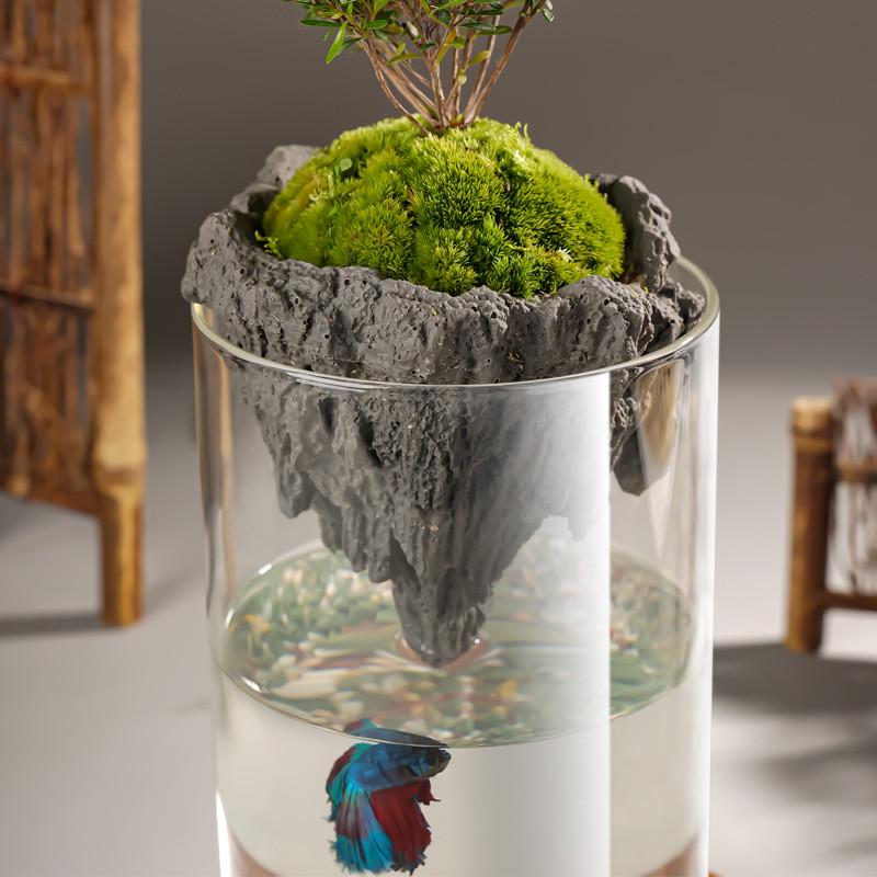 简约花瓶中古高级感玻璃瓶制品微景观生态瓶水培透明植物玻璃花瓶