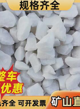 白色水磨石子日式枯山水白石子白色砾碎石园林造景白水洗石鹅卵